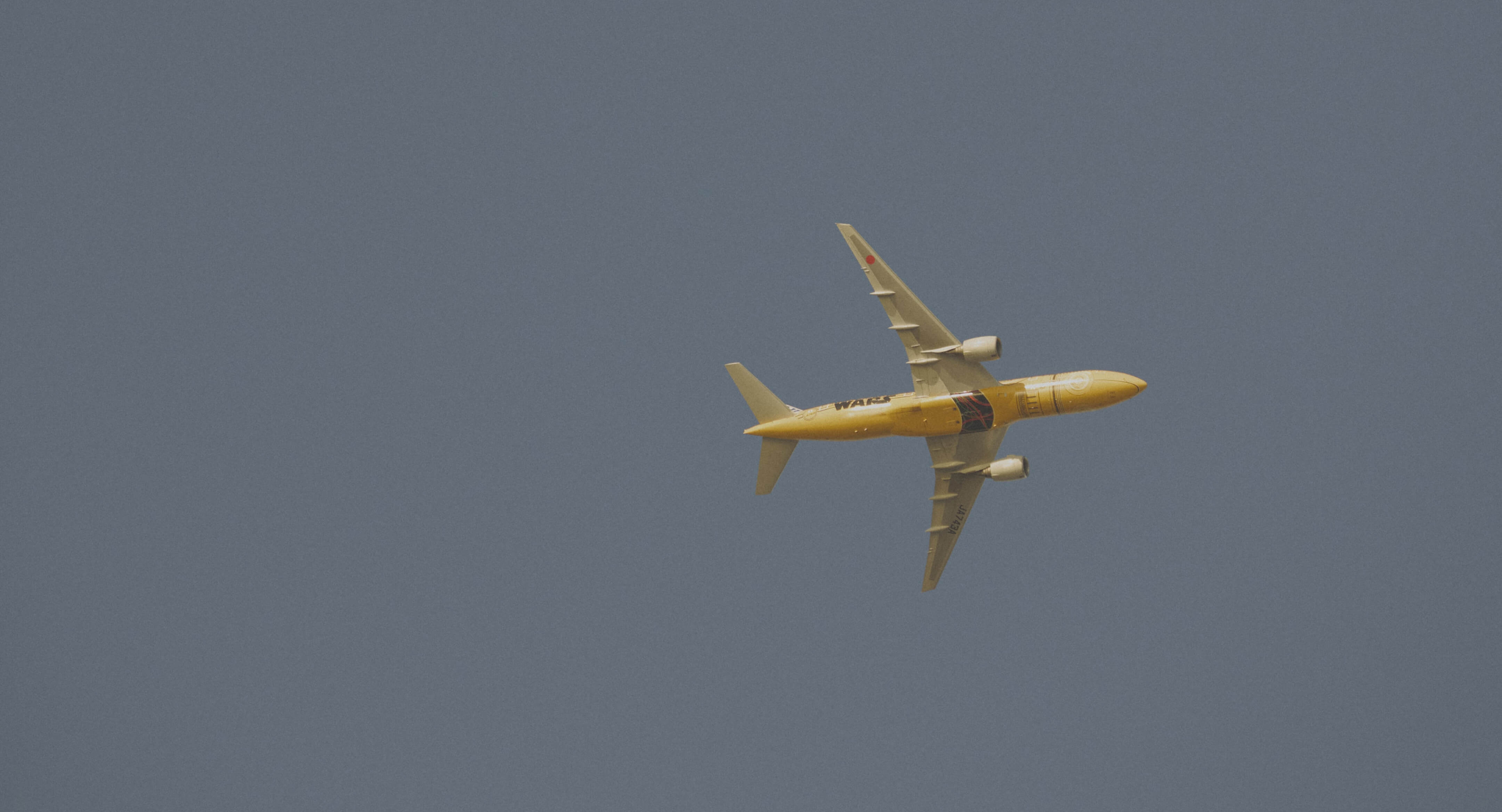 SHIPS for WOMEN 2025 Summer | Attractive Ordinary